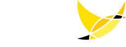 YPN Logo